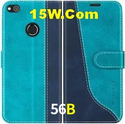 Login Seguro 56B